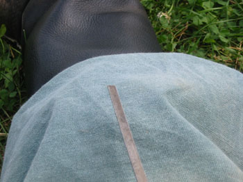 Yar! Vermont Ho! 082