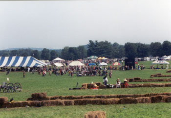 35-field_activities